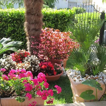Bed and breakfast Le Begonie